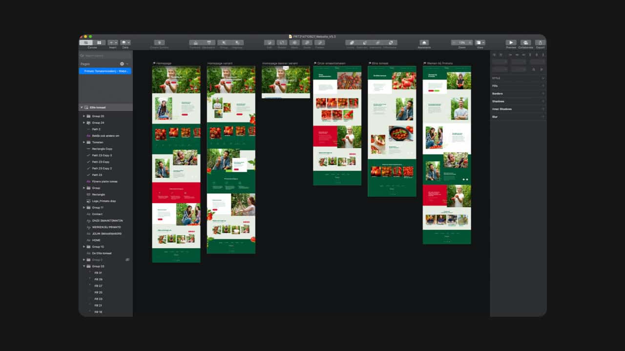 webdesign-software-beelden